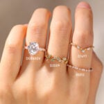 D0840OV D2009 D1497 R0113