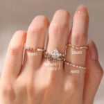 D1807 D0814PE D1073 D0657 R0113