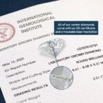 igi certificate – single product