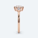 Hexagon Cut Lab Grown Diamond Three stone 6 Claw Prong Engagement Ring in White Gold (2)
