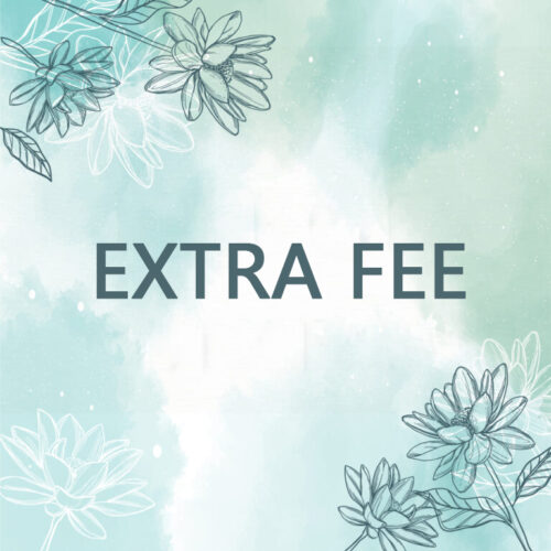 LisaJewelryUS Extra Charges