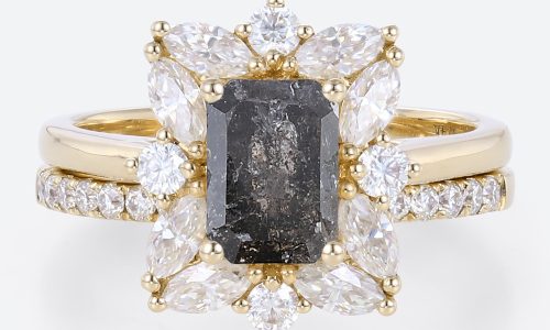 Couples Wedding Ring Sets Salt and Pepper Diamond with Pave Wedding Band
