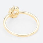 0.5ct Colorless VS+ Round Cut Lab Grown Diamond 34 Halo 4-Prong Engagement Promise Ring in Rose Gold (6)