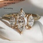 semi-setting