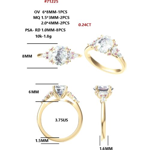 Custom Order For Louis-Daniel