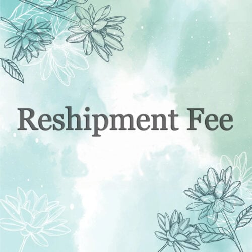 LisaJewelryUS Reshipment Fee